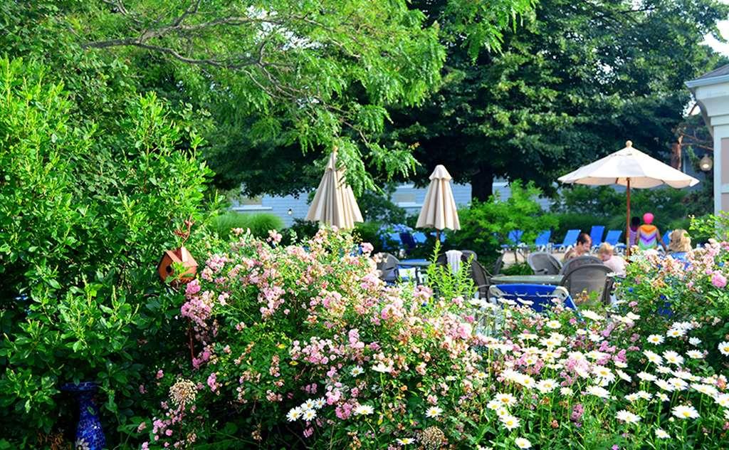 Margaritaville Resort Cape Cod Hyannis Létesítmények fotó